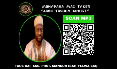 AURE TUSHEN ADDINI